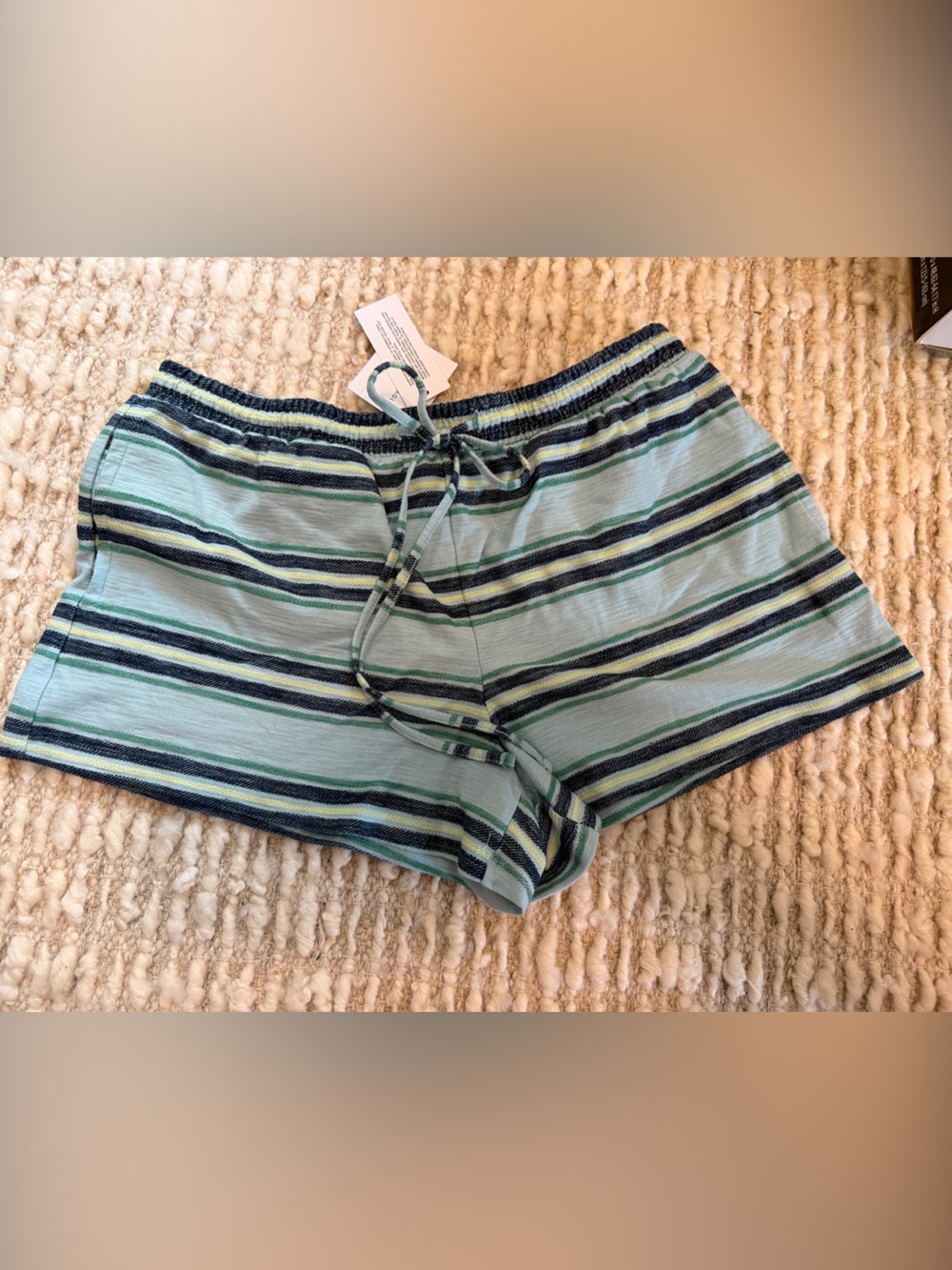 American Eagle Outfitters Light Blue Striped Drawstring Shorts NWT